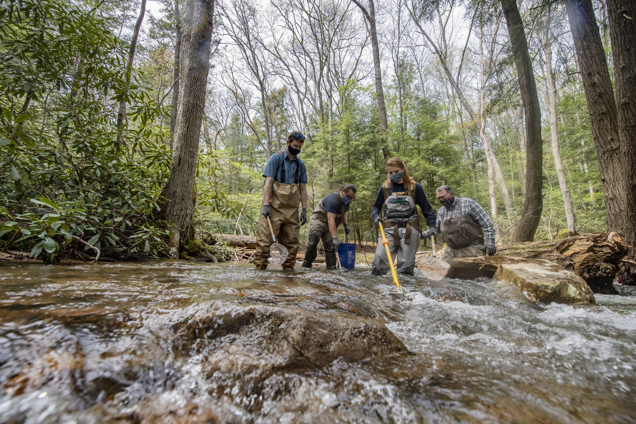WVU earns record $203 million for research funding